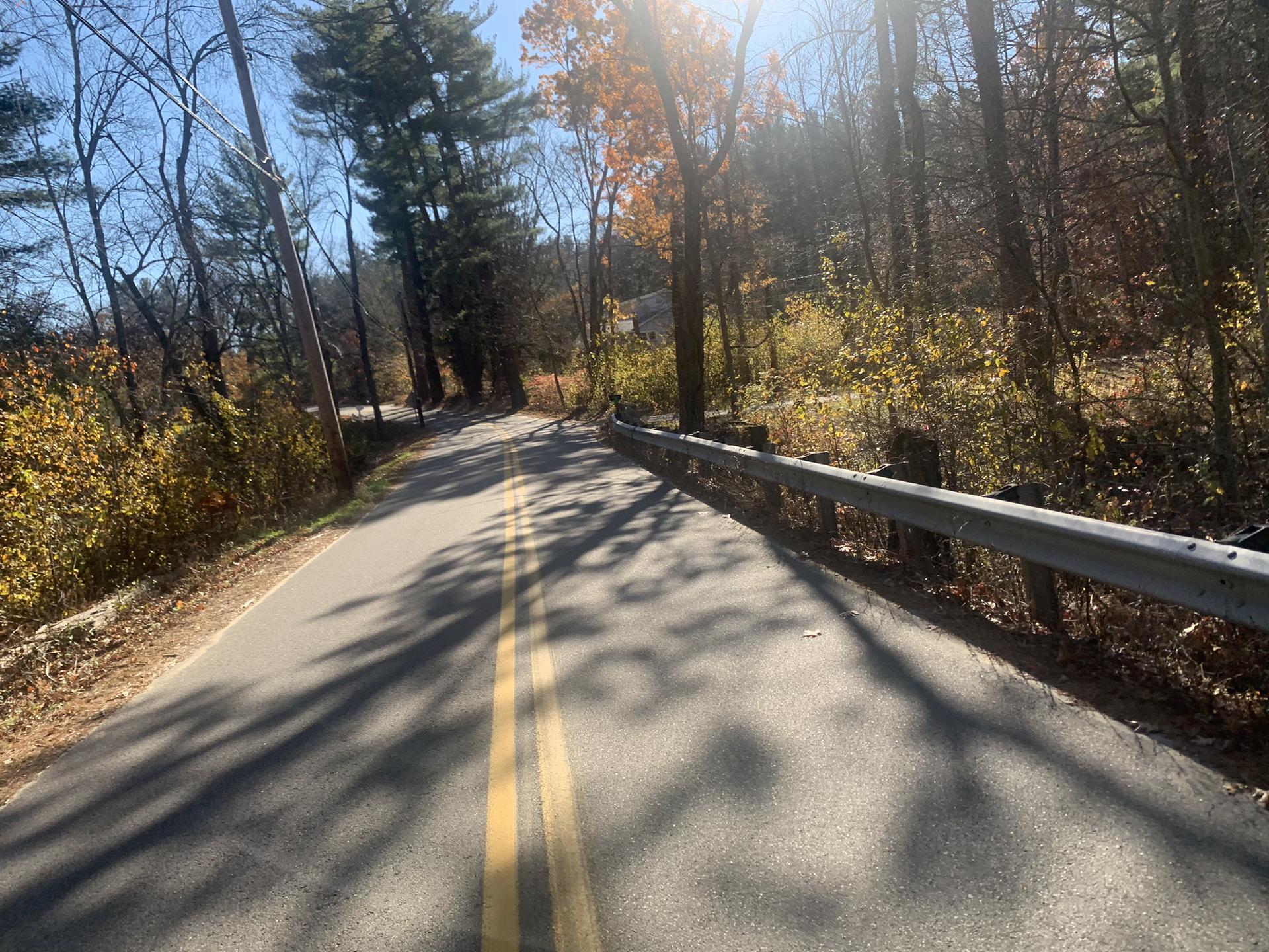 Paved road with autumn trees and guardrail under bright sun.