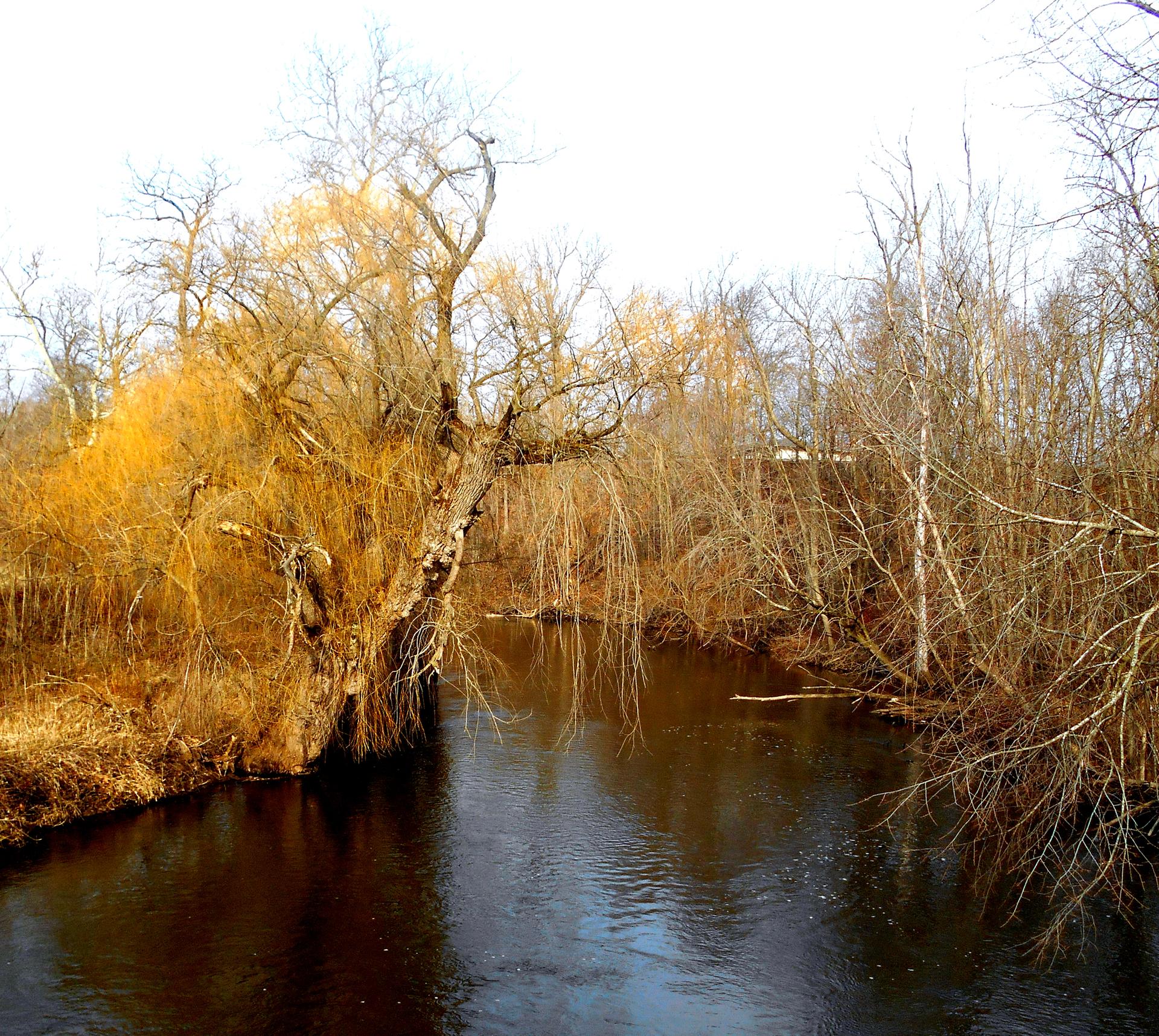 A river flows past bare trees and golden-brown foliage under an overcast sky.