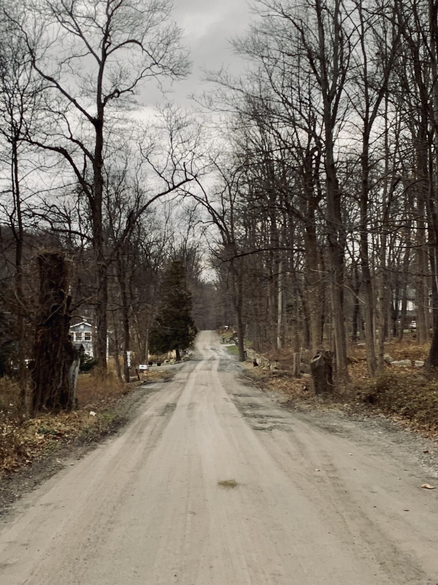 A long dirt road flanked by bare trees under an overcast sky.