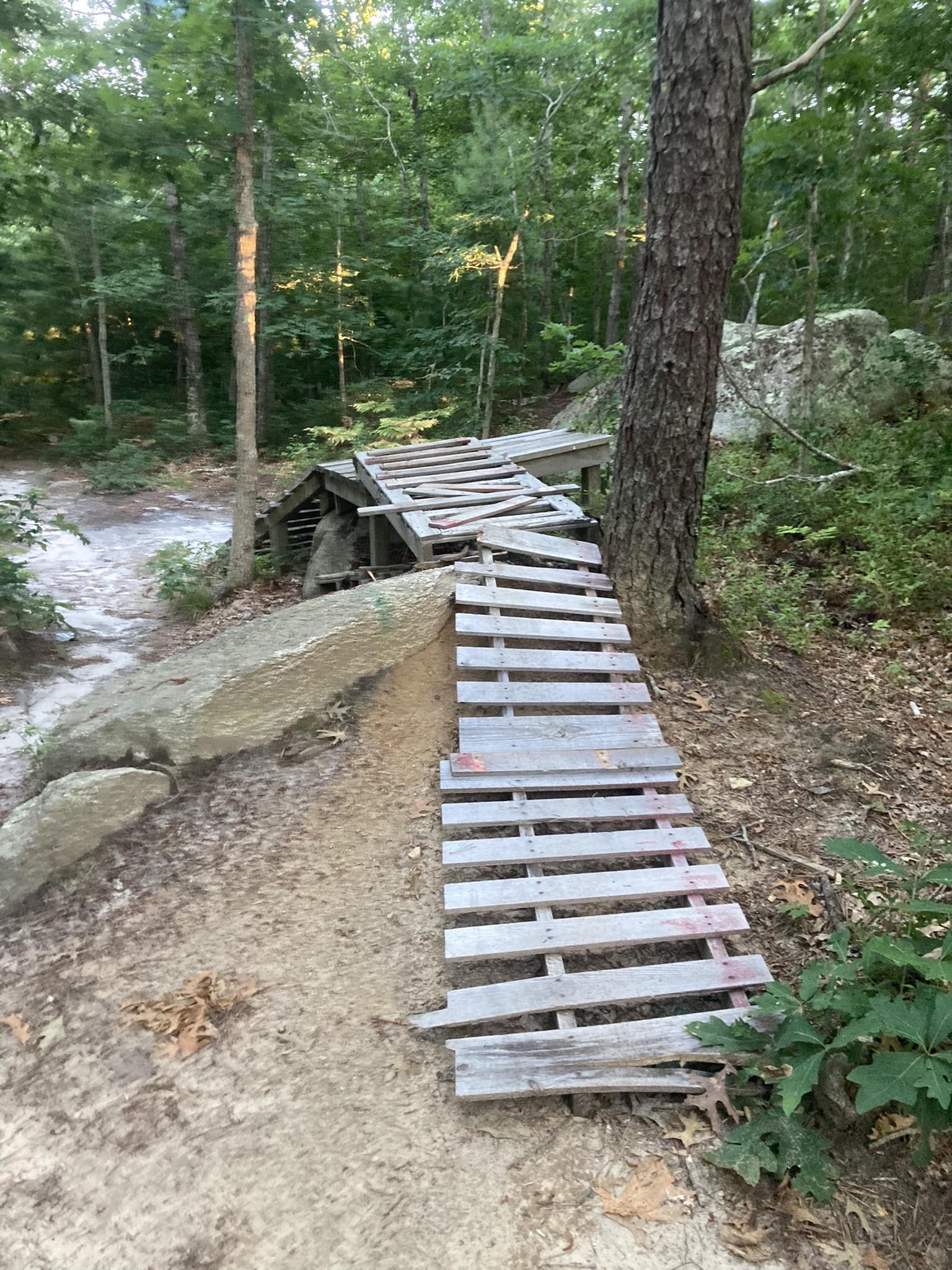 A wooden bike ramp structure built over a large rock in a green forest.