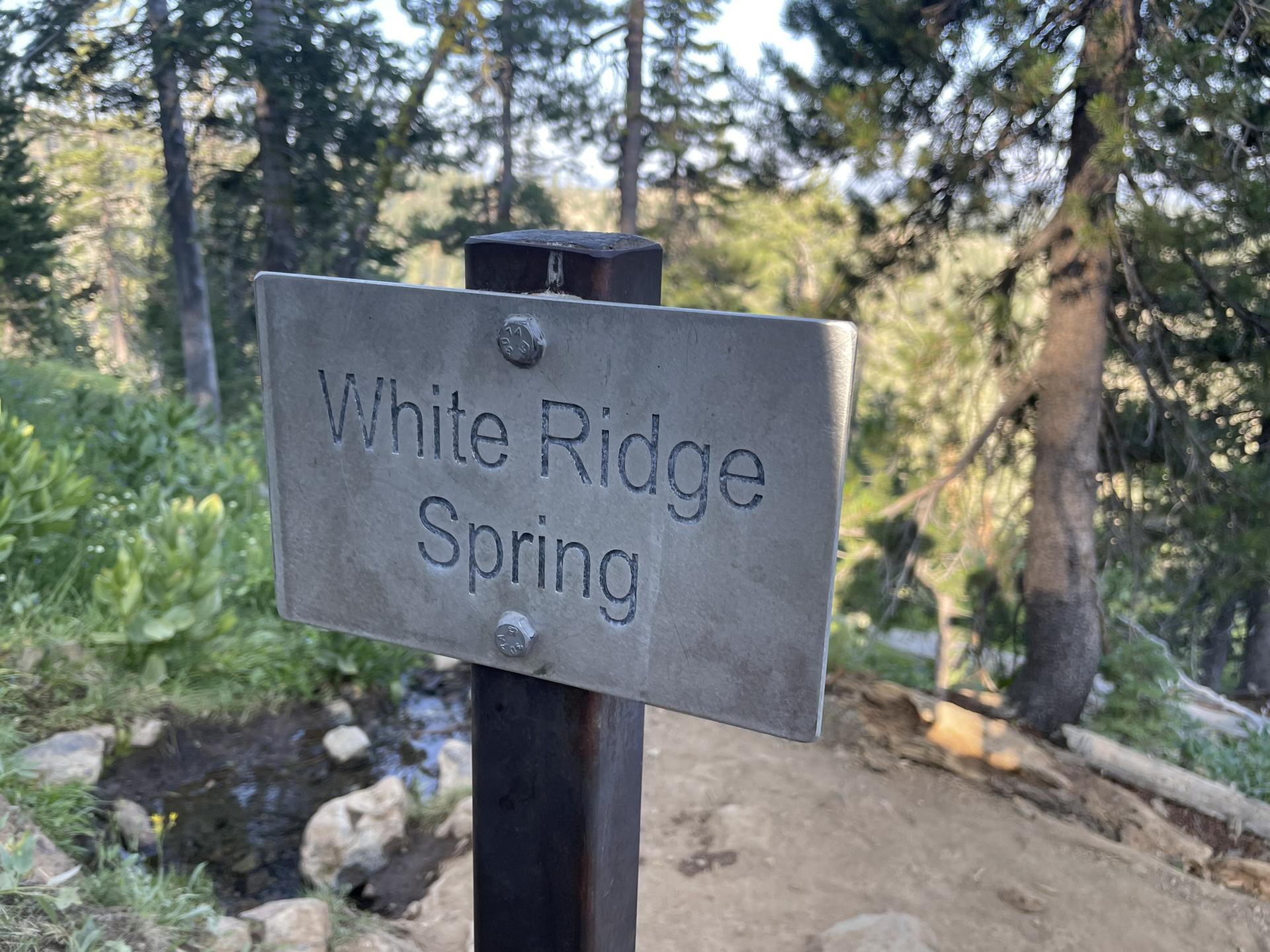 A metal sign on a post reads "White Ridge Spring" beside a small stream.