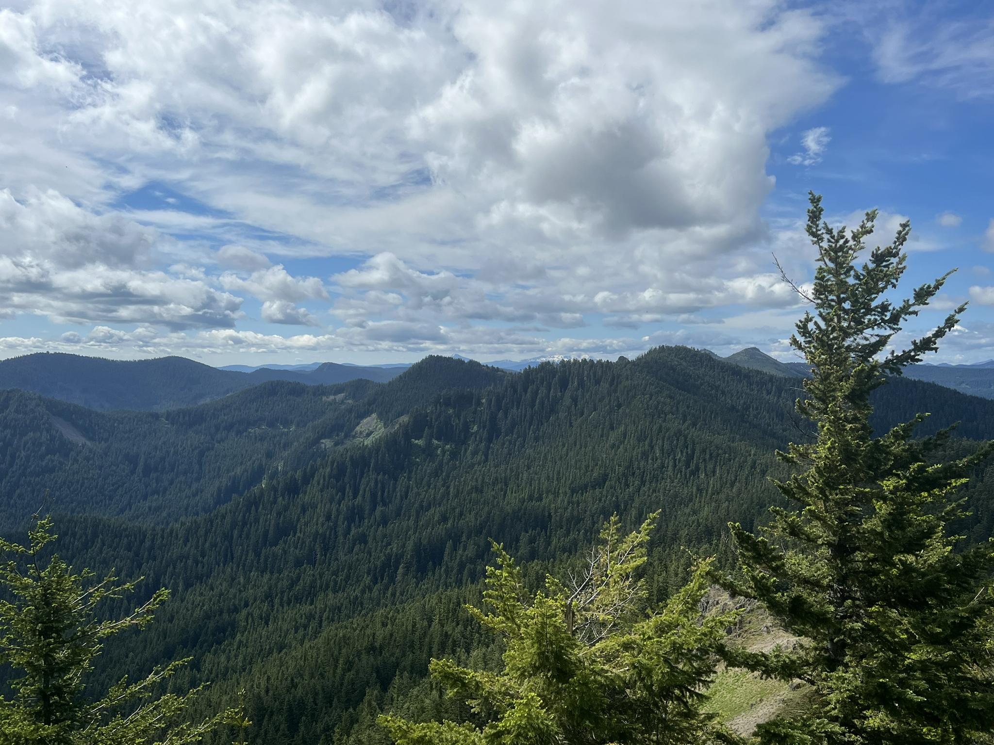 Expansive view of forested mountains under a partly cloudy sky.