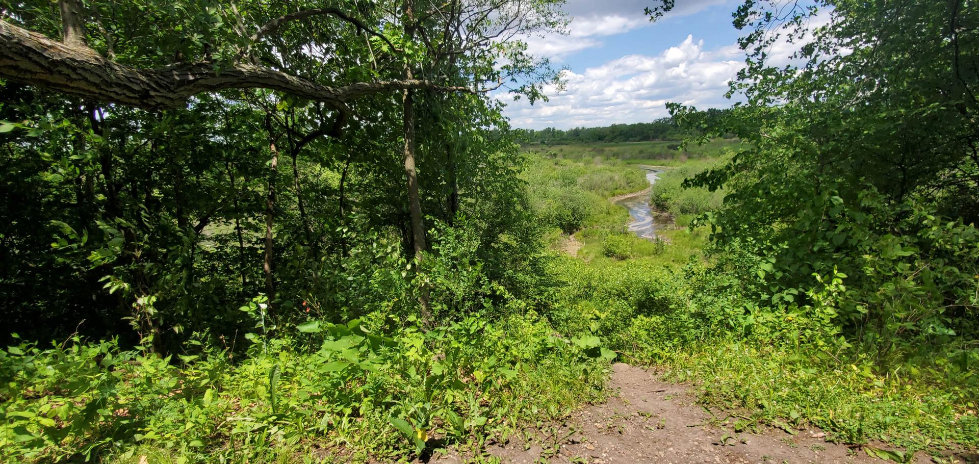 Sunny view of a winding river through a dense green forest.