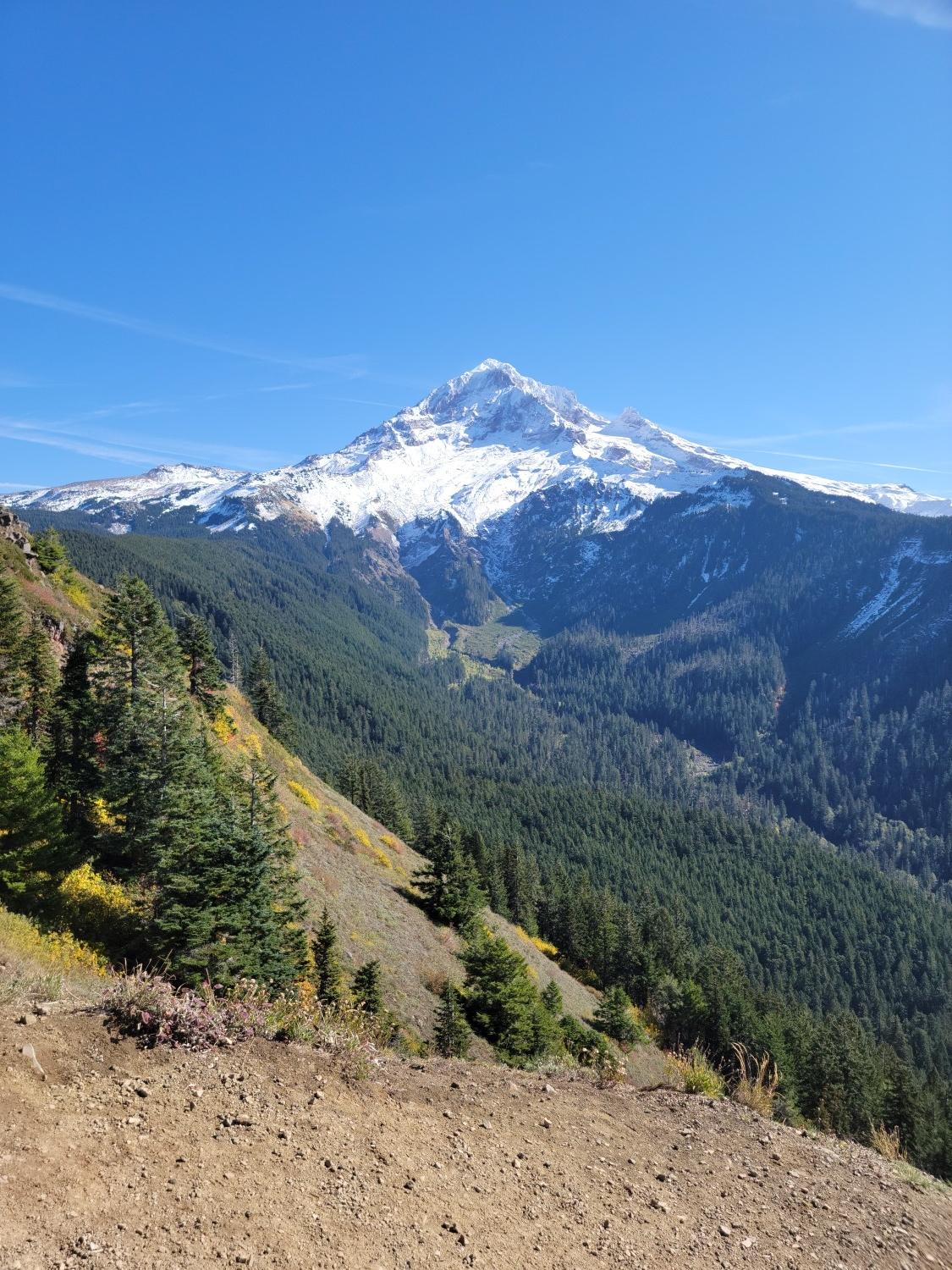 A majestic snow-capped mountain overlooks a deep, forested valley on a clear day.