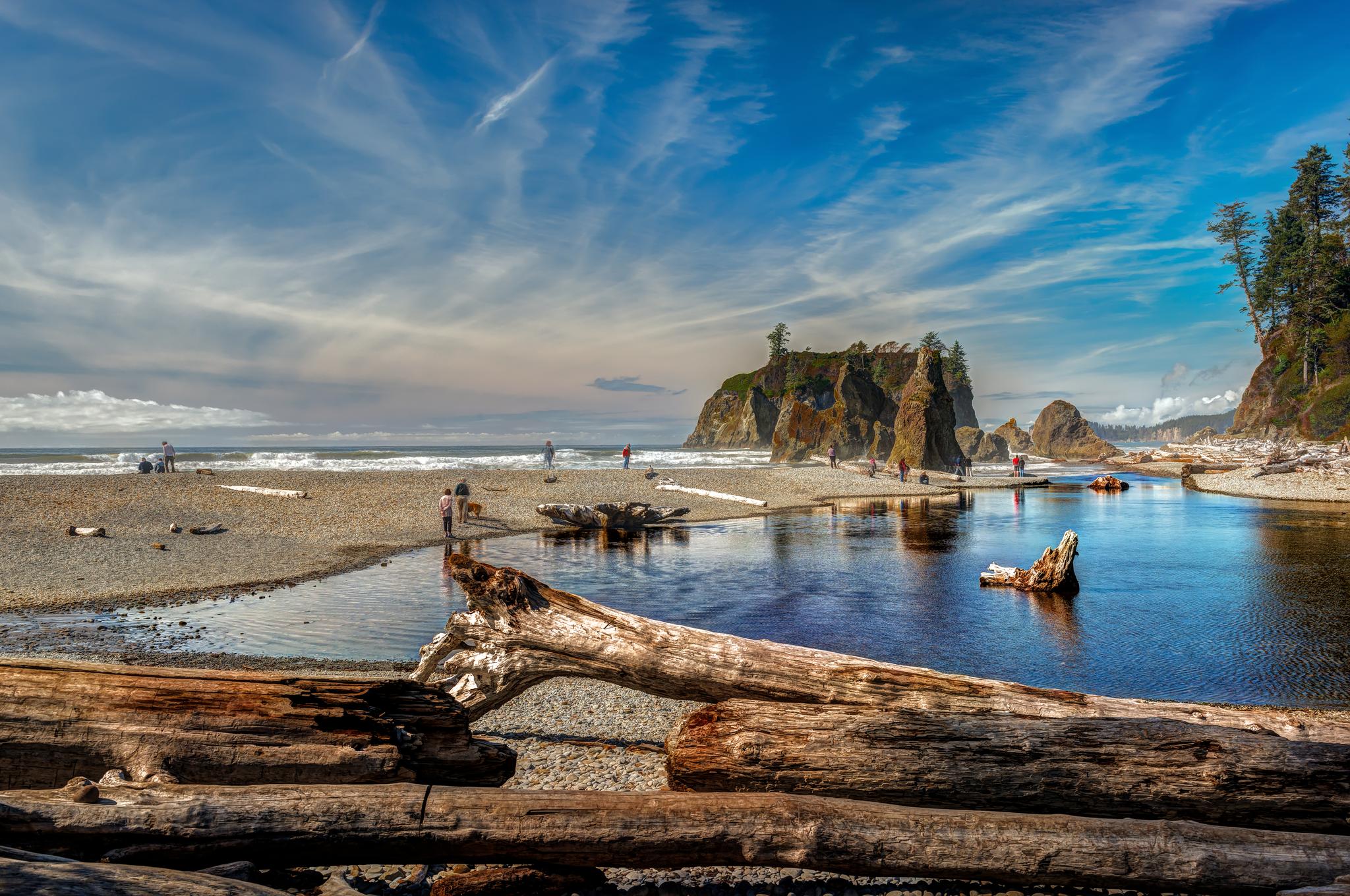 Sunny beach with sea stacks, tidal pool, driftwood, and people exploring.