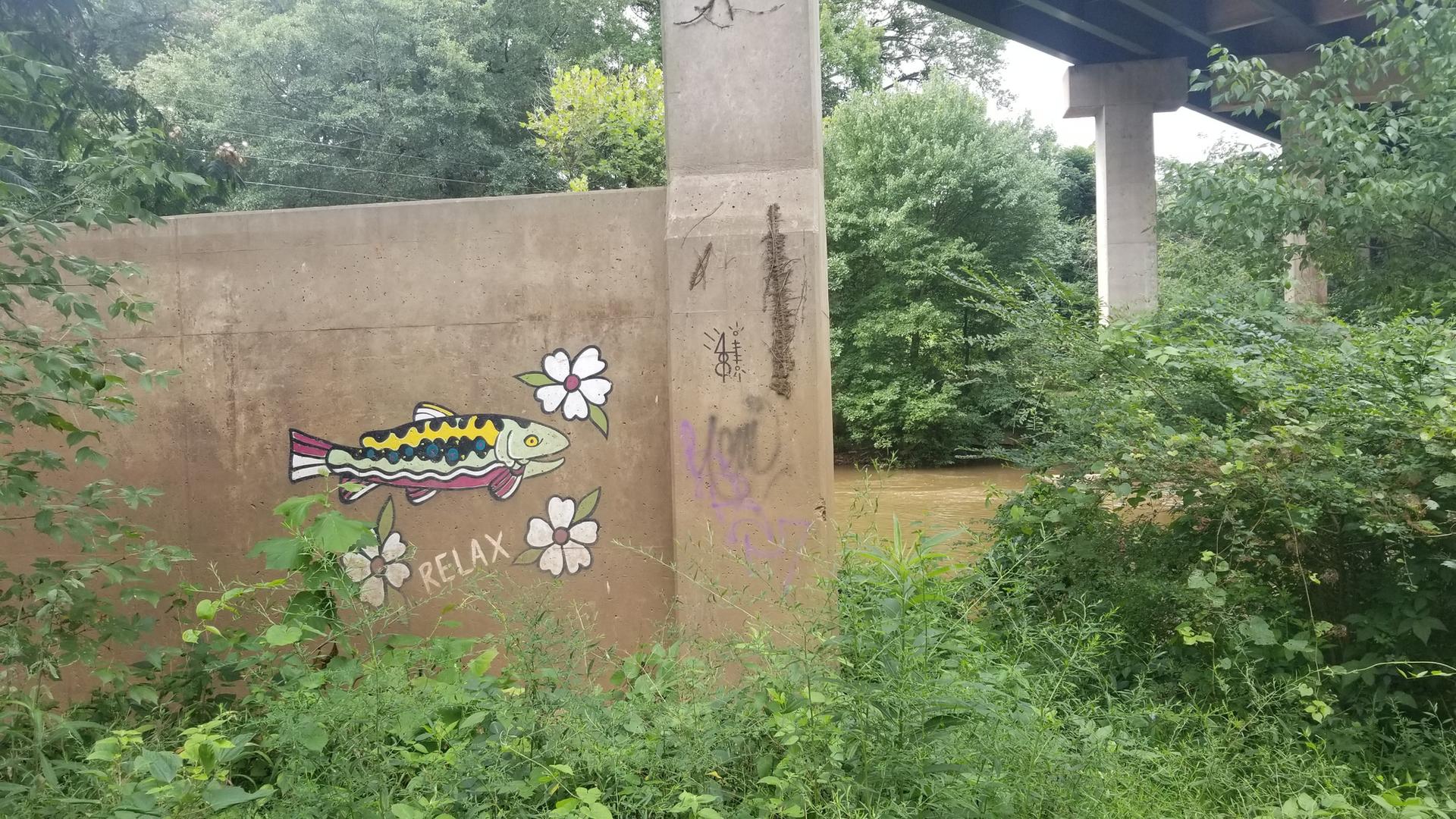 Graffiti of a fish and flowers on a concrete wall, surrounded by green plants.