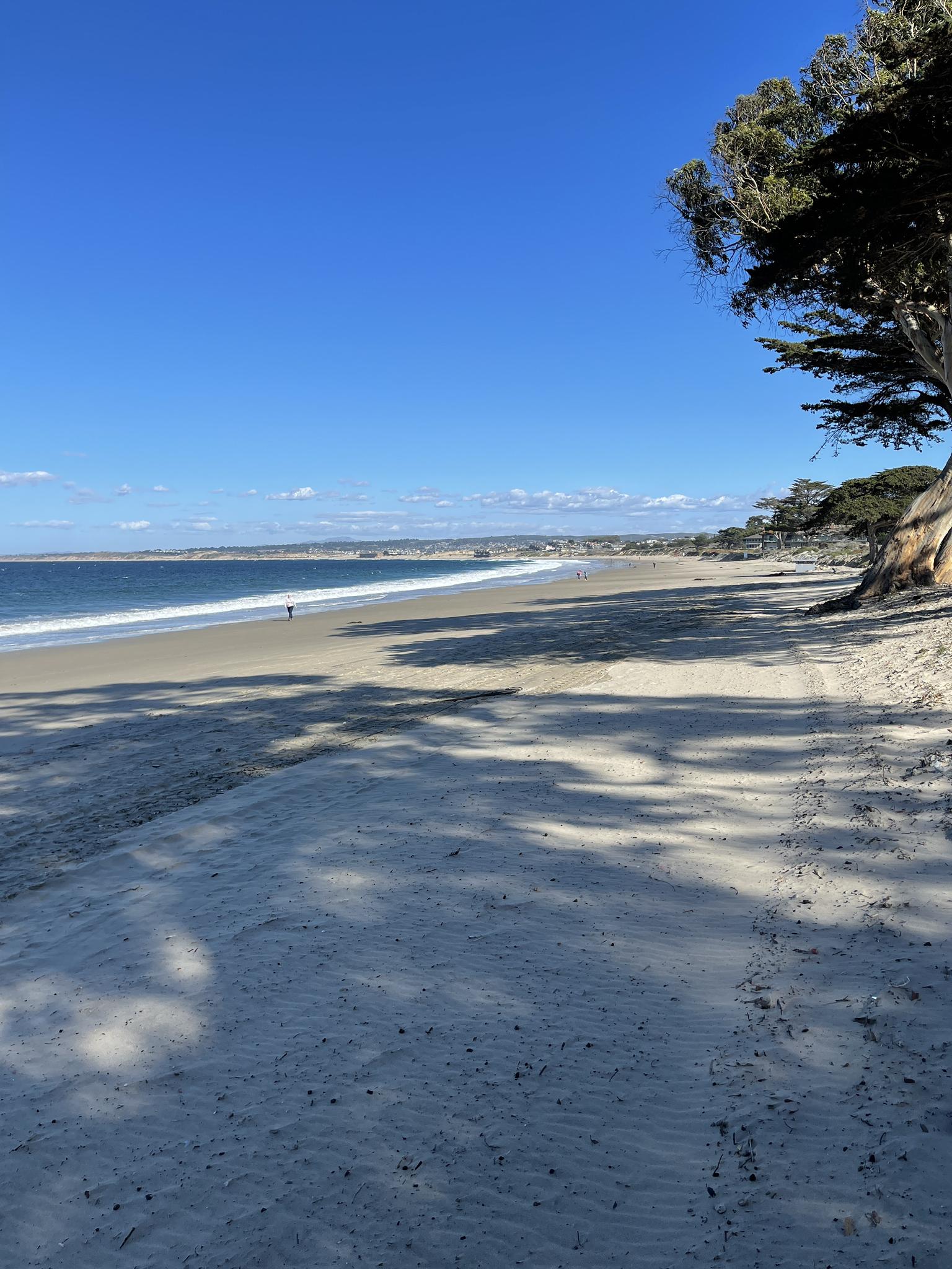 Sunny sandy beach with ocean waves, tree shadows, and a distant person.