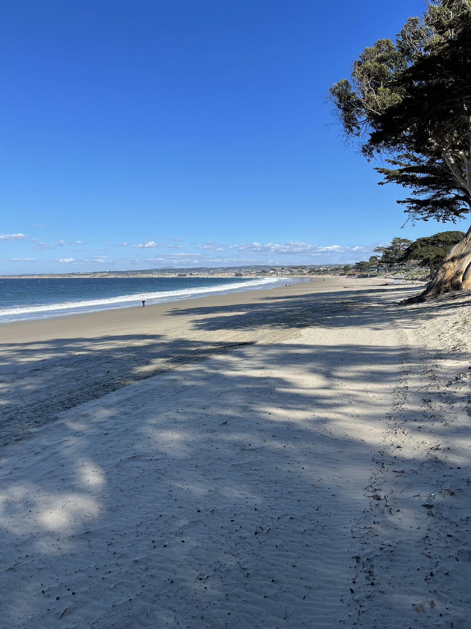 Sunny sandy beach with ocean waves, tree shadows, and a distant person. - Monterey Bay Coastal Trail and 17-Mile Drive Loop