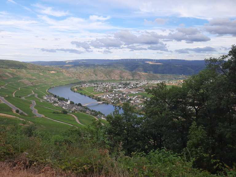 Moselblick auf Piesport und Alt Piesport MountainbikeTouren und