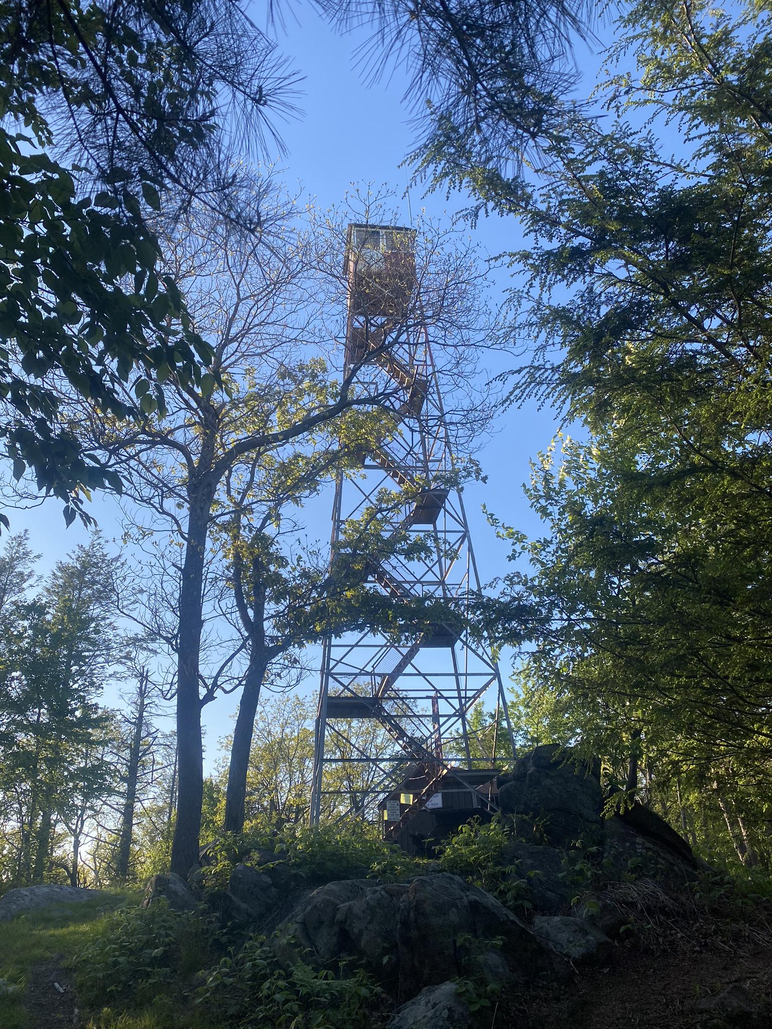 Tall metal fire tower stands among trees on a sunny day.