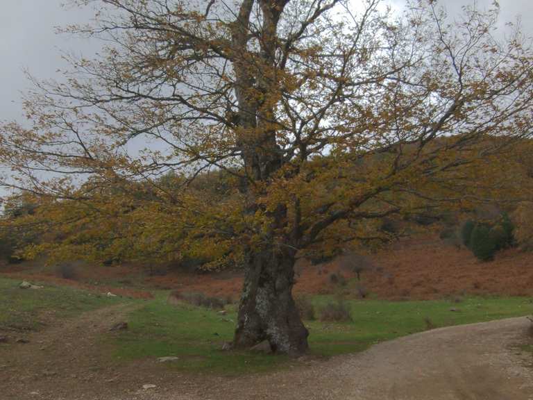 Case Mangalaviti Picnic Area Wanderungen und Rundwege komoot