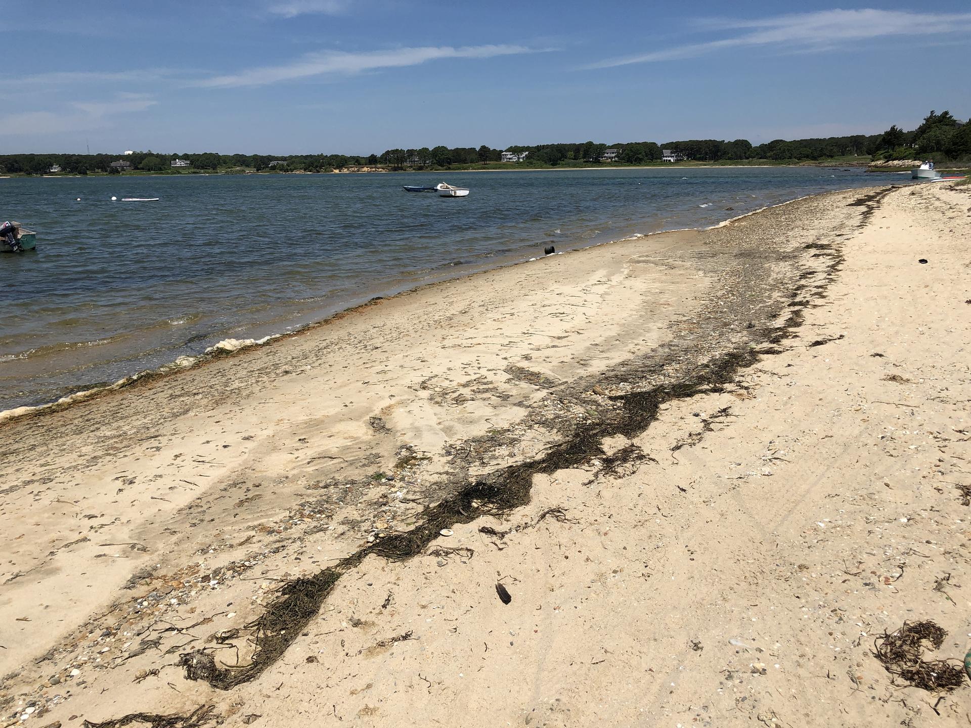 Sandy beach with seaweed along calm water, boats in the distance.