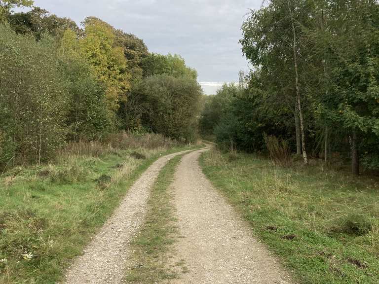 Codnor Park Reservoir – Codnor Park Canal Bridge loop from Codnor CP ...