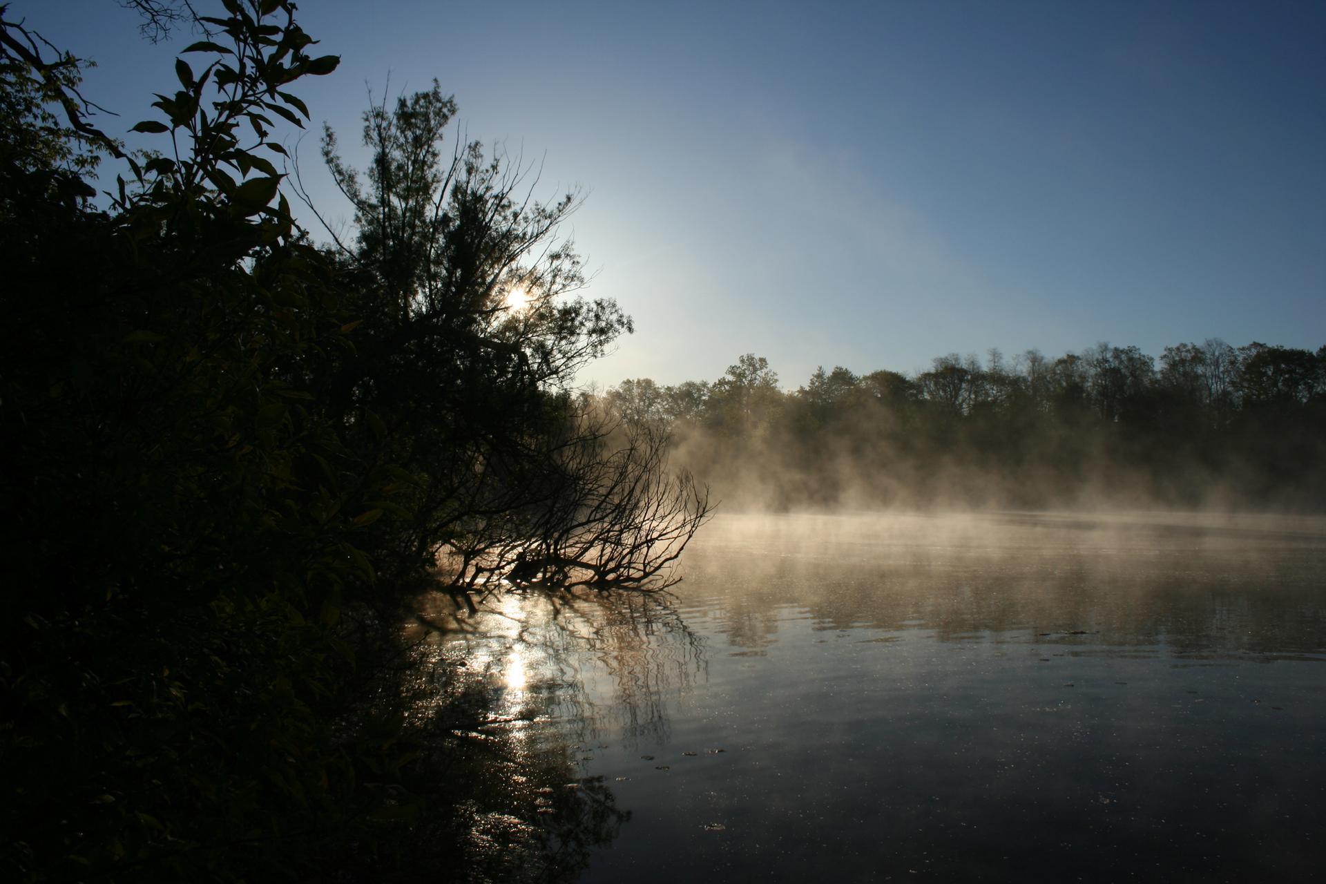 Misty lake at sunrise, sun reflecting on water, dark trees.
