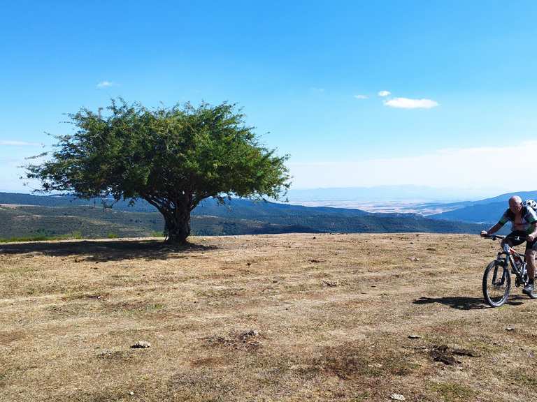 Richtung Masoga (1345m): Mountainbike-Touren und -Trails | komoot