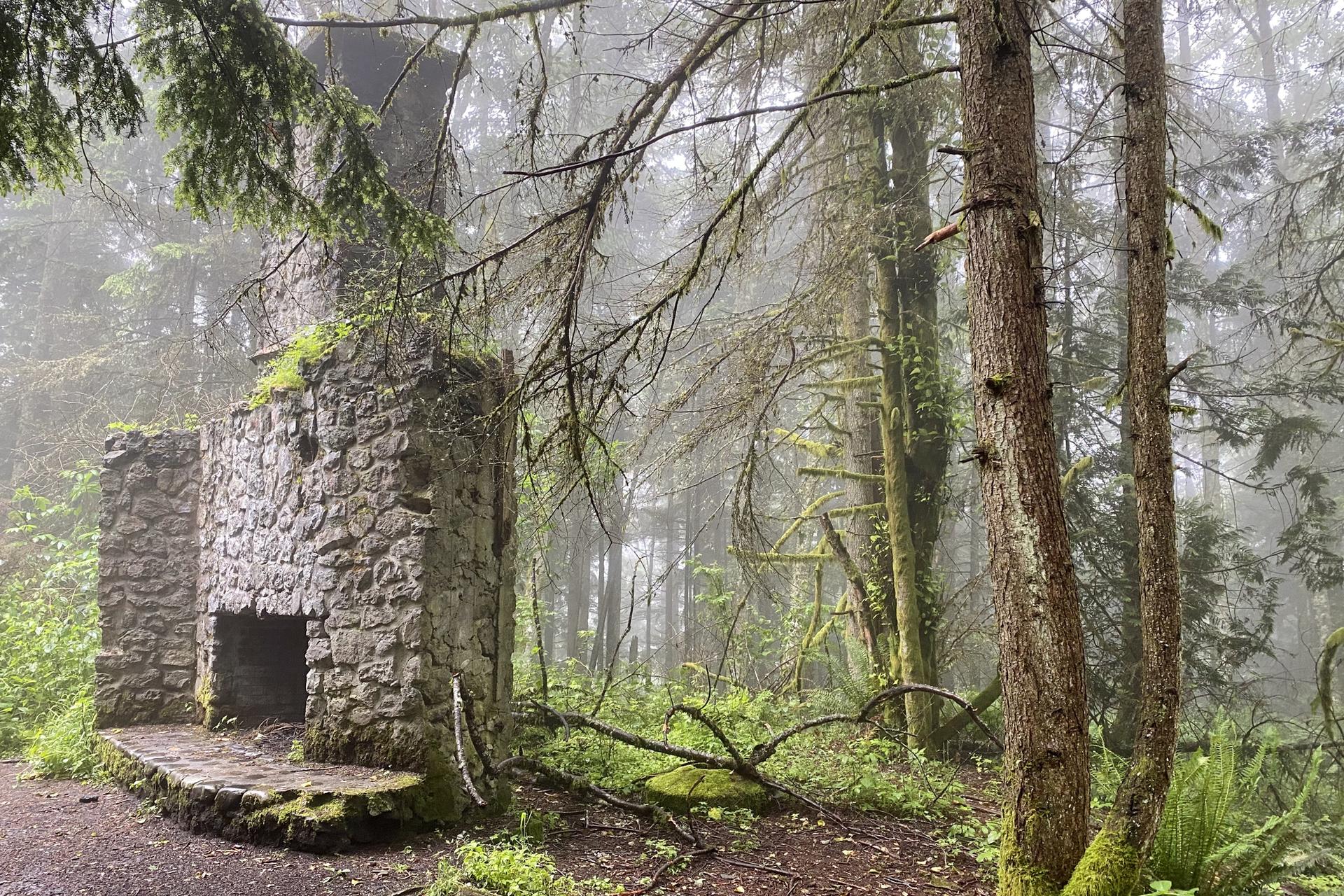 Moss-covered stone fireplace ruins in a misty, dense forest.