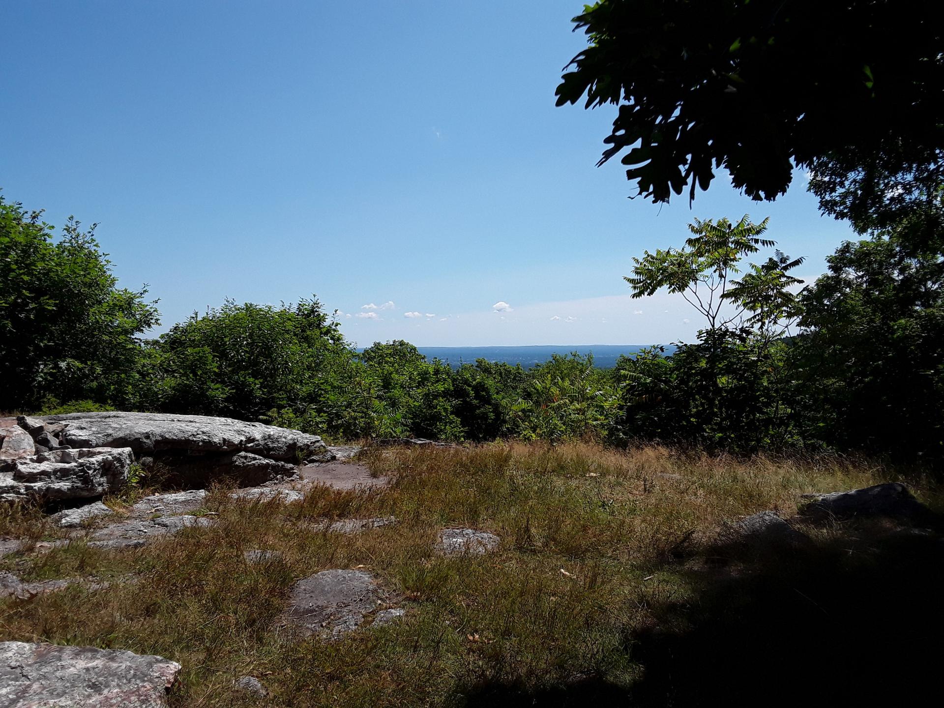 Sunny rocky overlook with lush green trees and distant blue water.