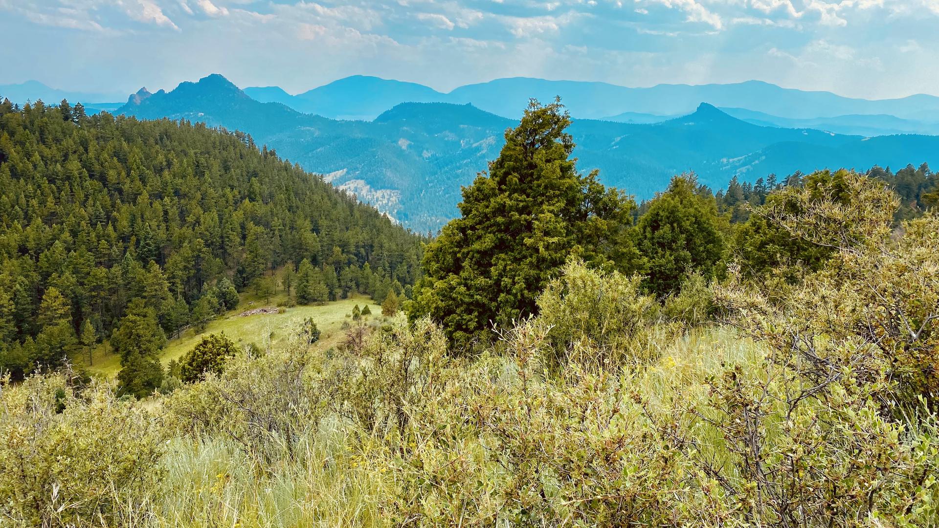 Green forested hills and shrubs with distant blue mountains under a bright, cloudy sky.