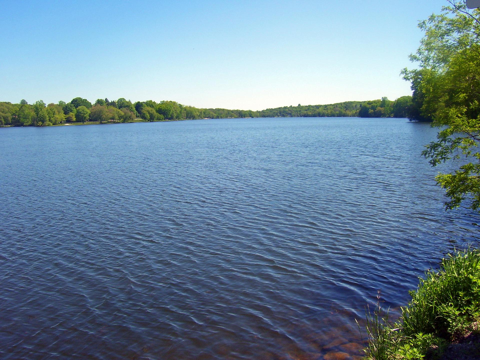 Wide, calm lake with distant forested banks under a clear blue sky.