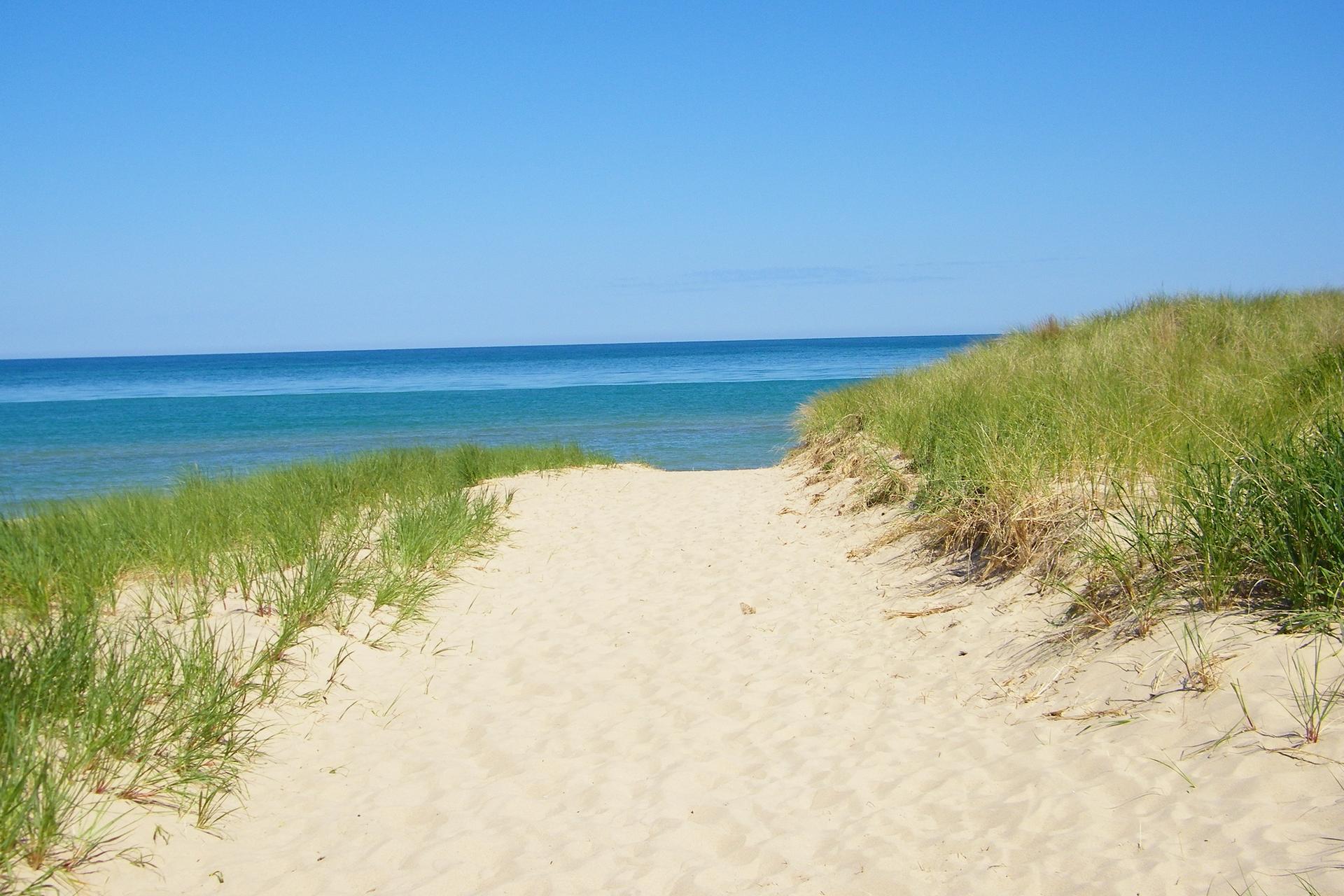 Sandy path between grassy dunes leading to a bright blue ocean.
