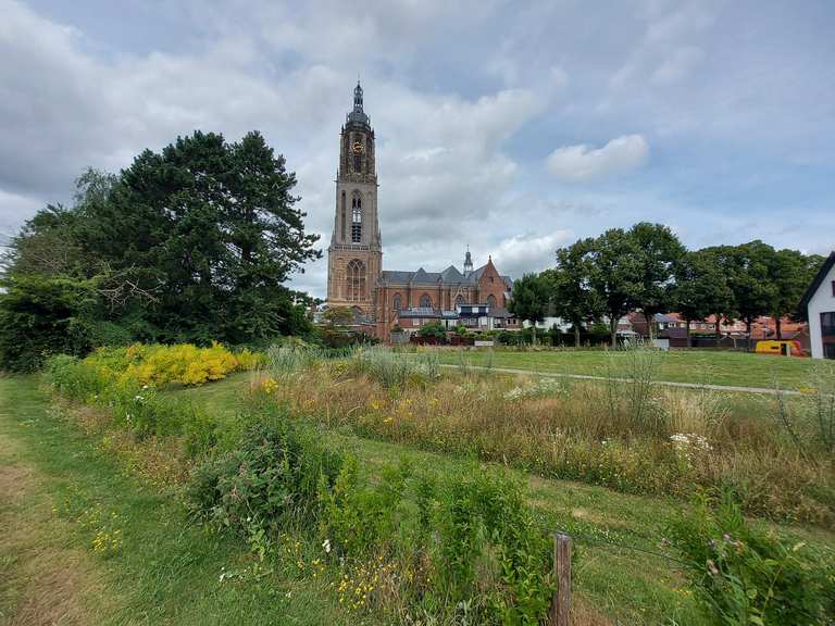 Uitzicht op Rhenen – Cunerakerk Rhenen rondtocht vanuit Elst ...