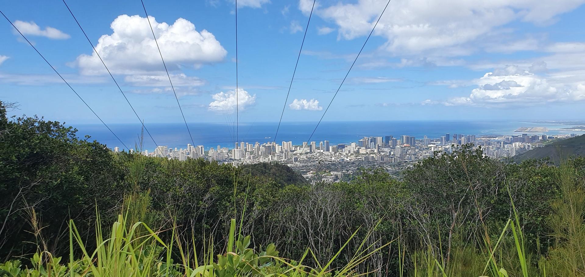 City and ocean view through trees, with power lines stretching across the blue sky.