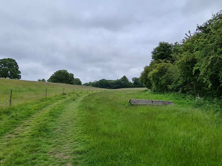 Walkington Park: Wanderungen und Rundwege | komoot