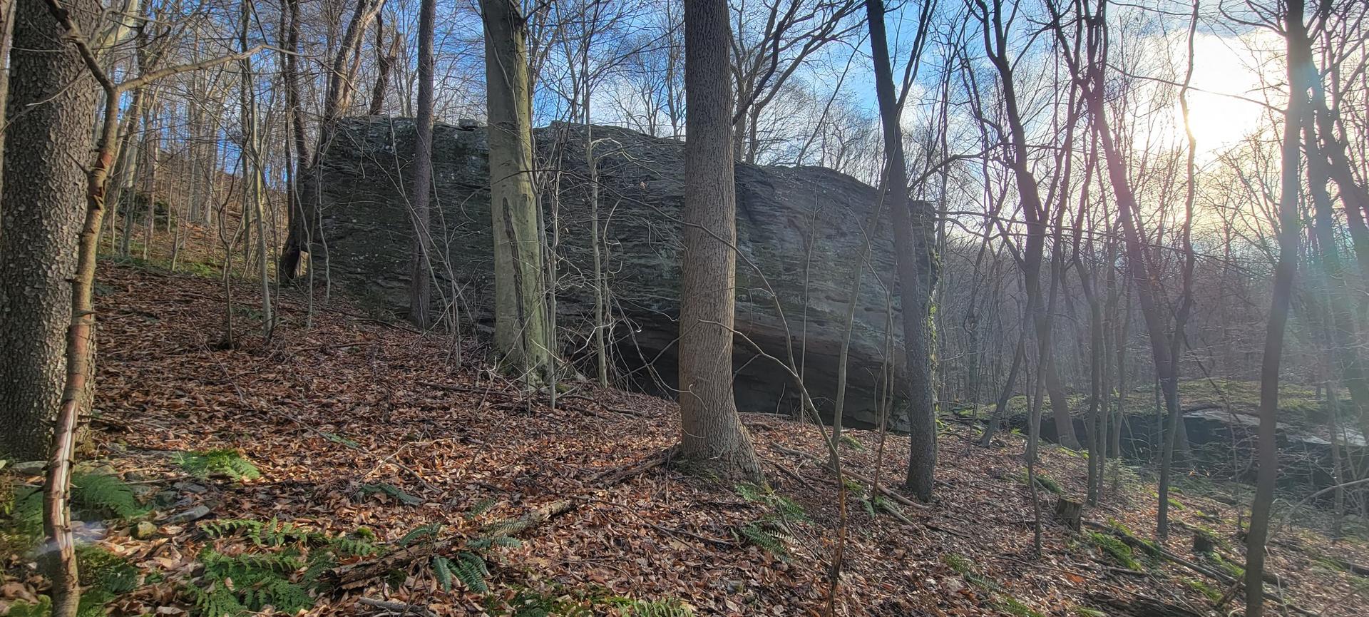 A massive rock formation stands among bare trees with fallen leaves, bathed in sunlight.