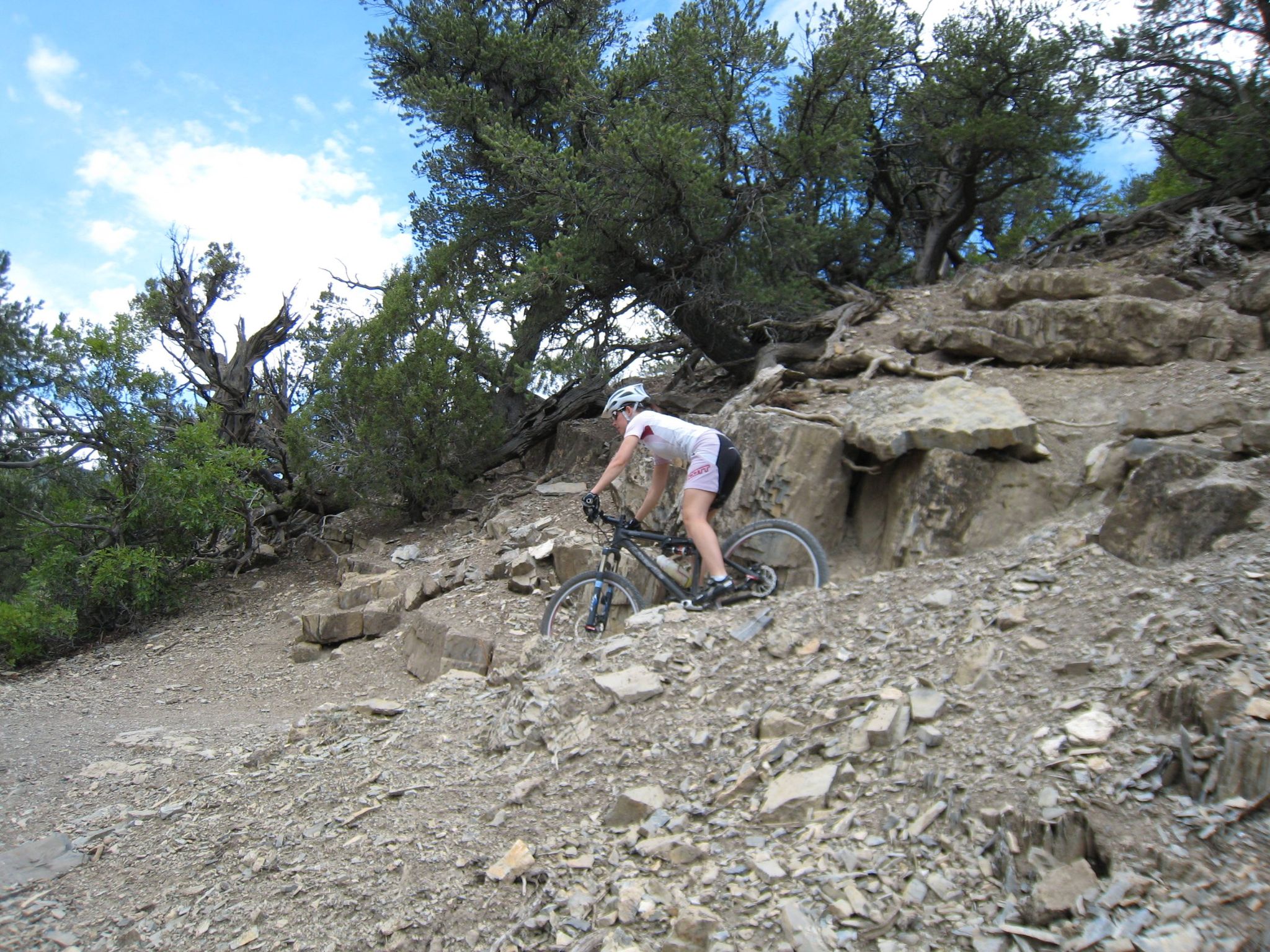 A person mountain bikes down a steep, rocky, tree-lined hillside on a sunny day. - Glenwood Springs – Glenwood Springs Scout Trail loop from Glenwood Springs