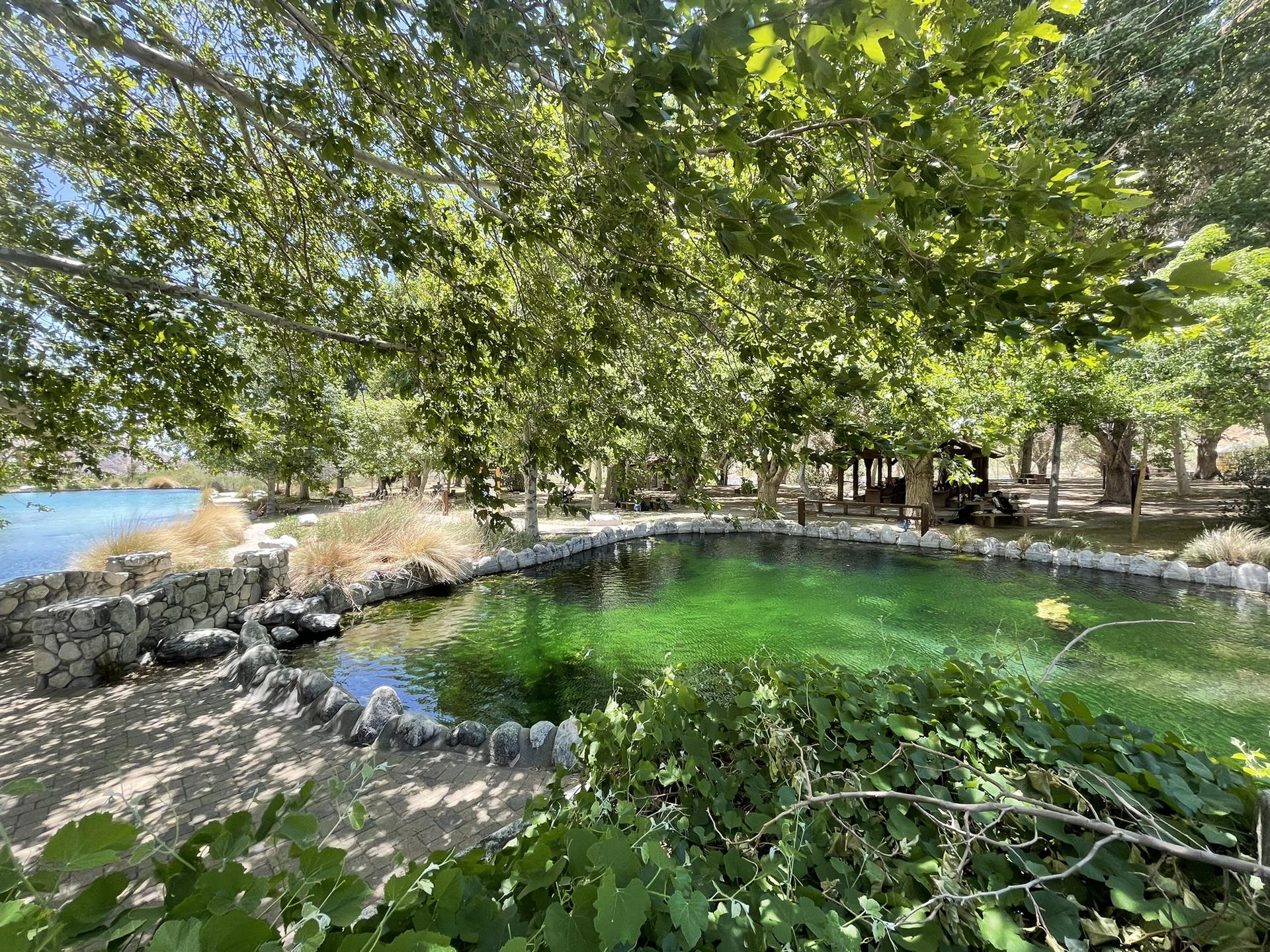 A green pool surrounded by lush trees, with another body of water nearby.