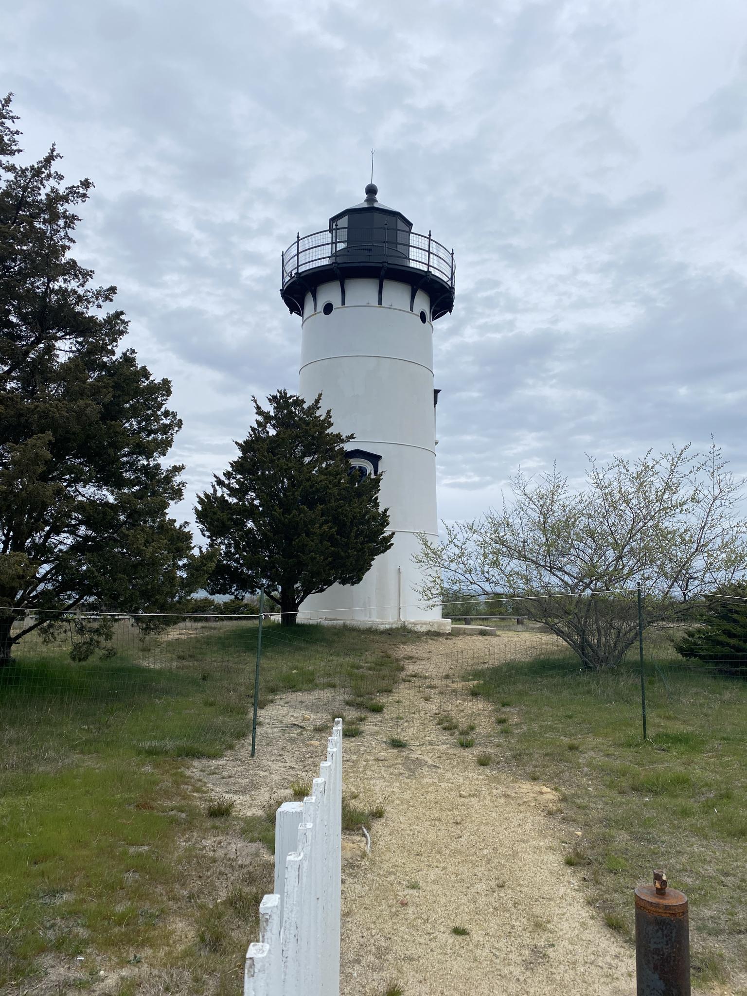 White lighthouse with a black top, surrounded by trees, cloudy sky.