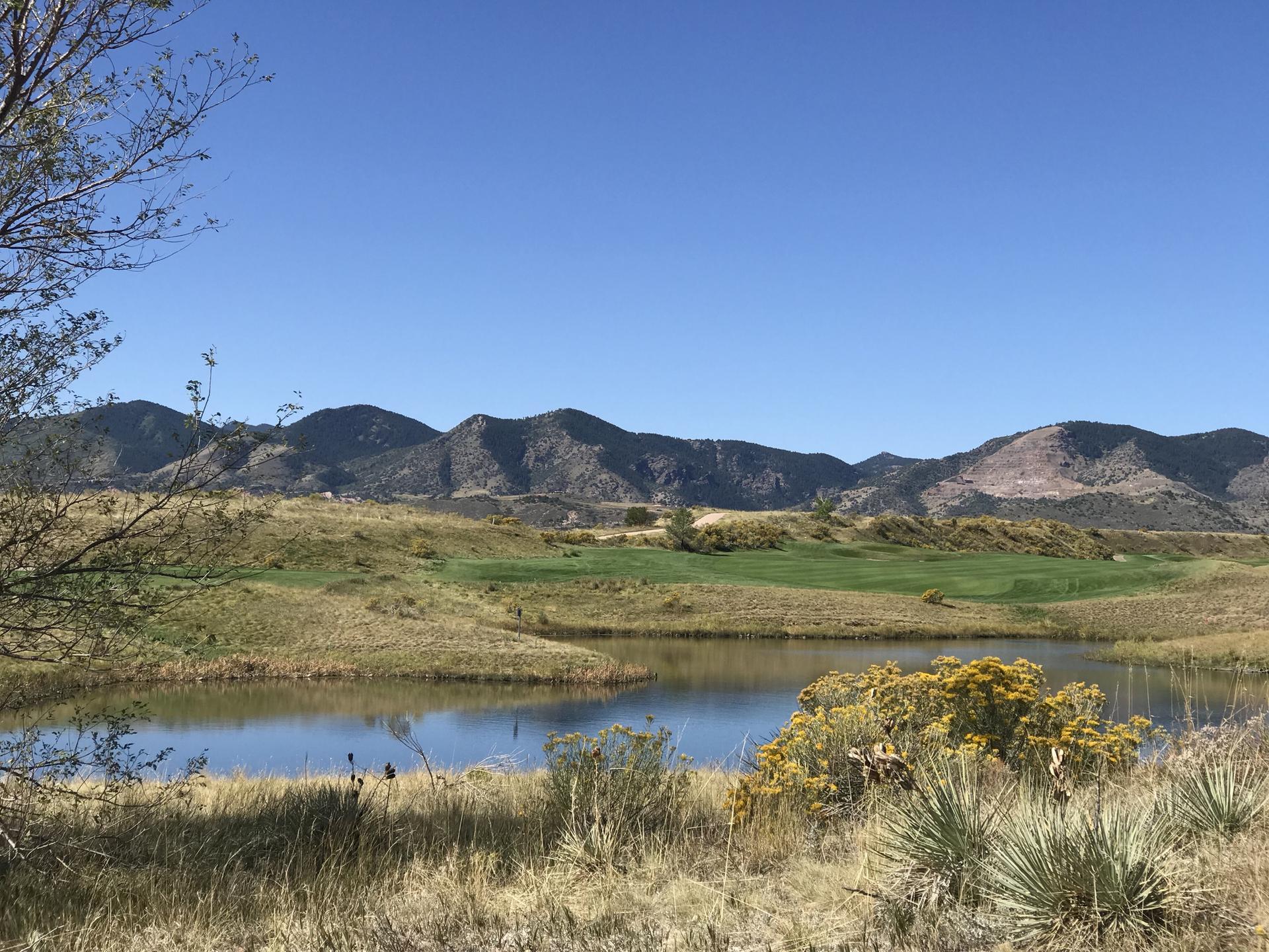 Small pond in a grassy field with distant mountains under a clear blue sky.