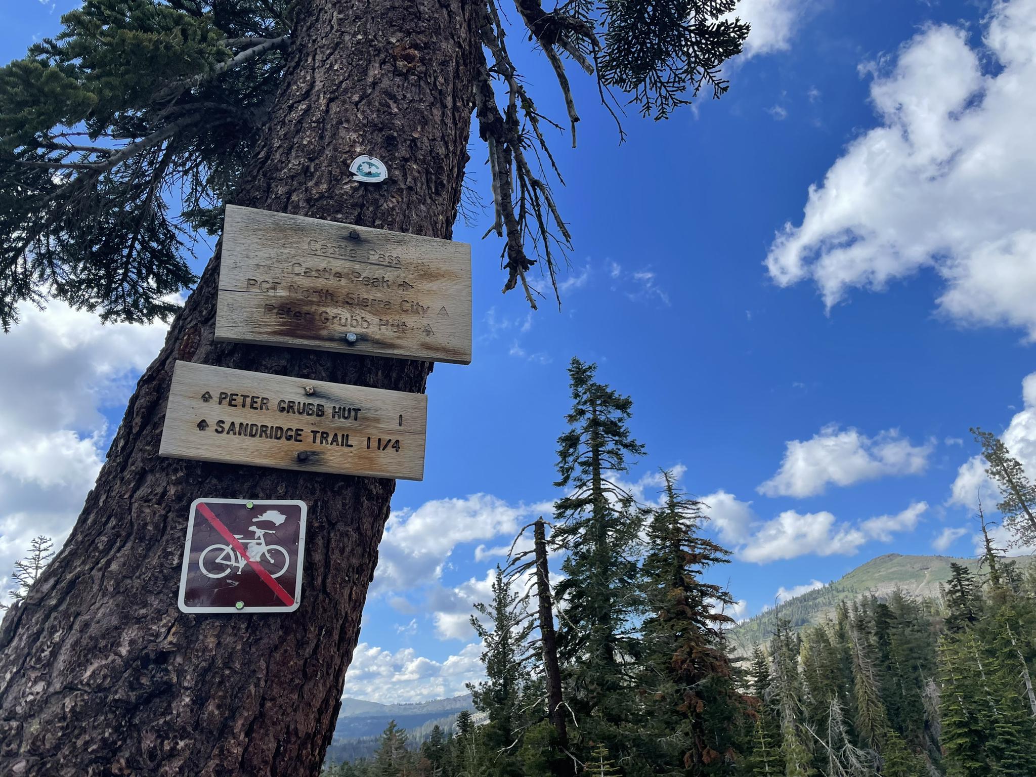 Wooden trail signs and a no-bicycles sign on a tree trunk.