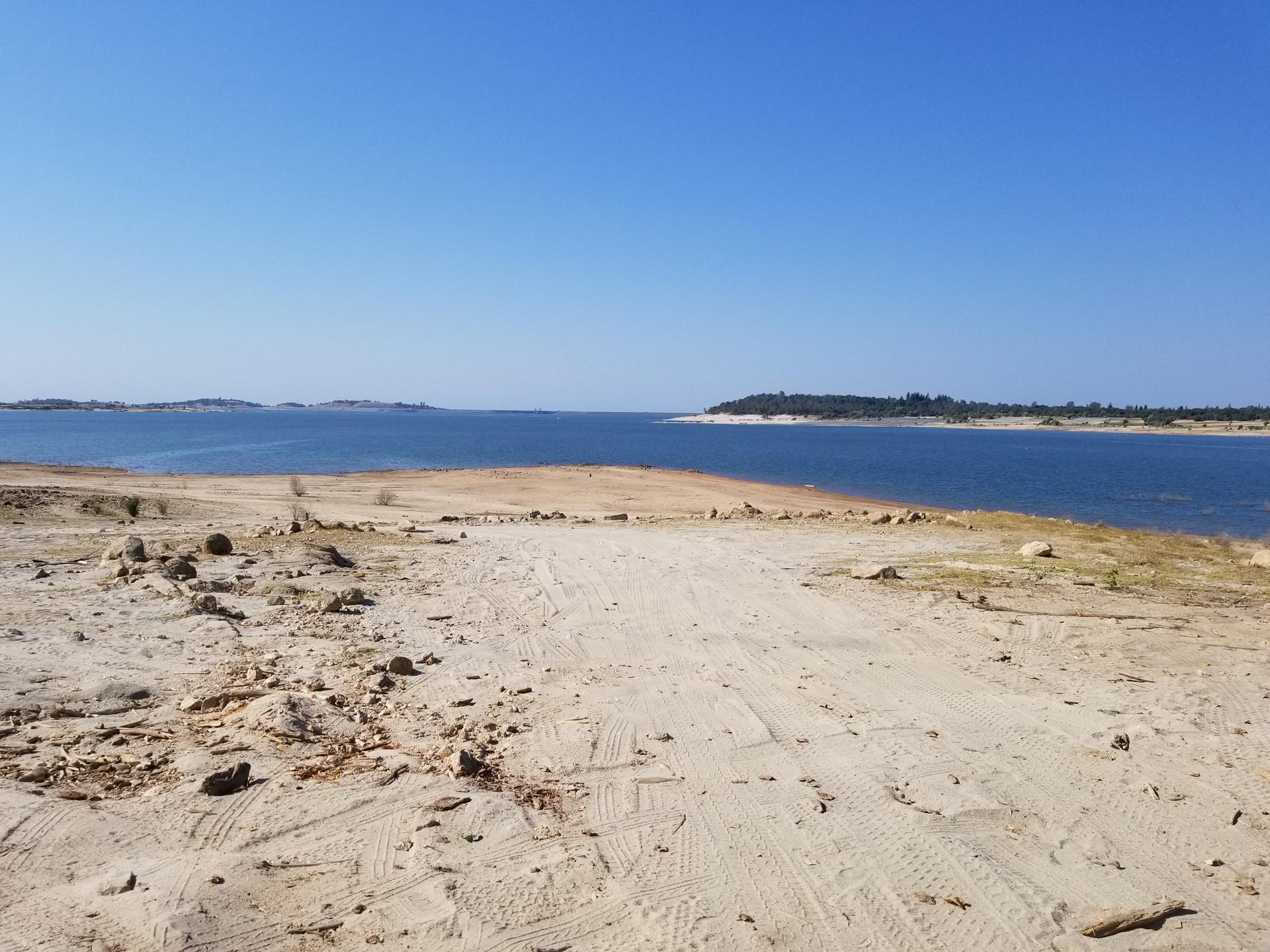 Sandy shore meets calm blue water under a clear sunny sky.
