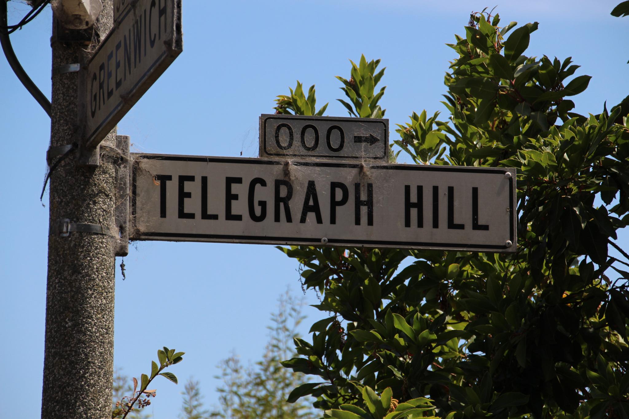 Close-up of two street signs against a clear blue sky and green leaves.