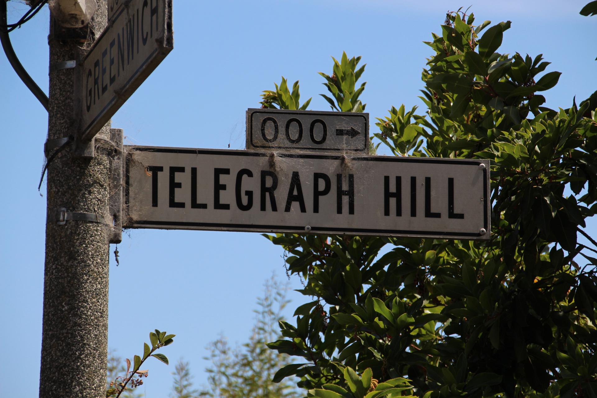 Close-up of two street signs against a clear blue sky and green leaves.