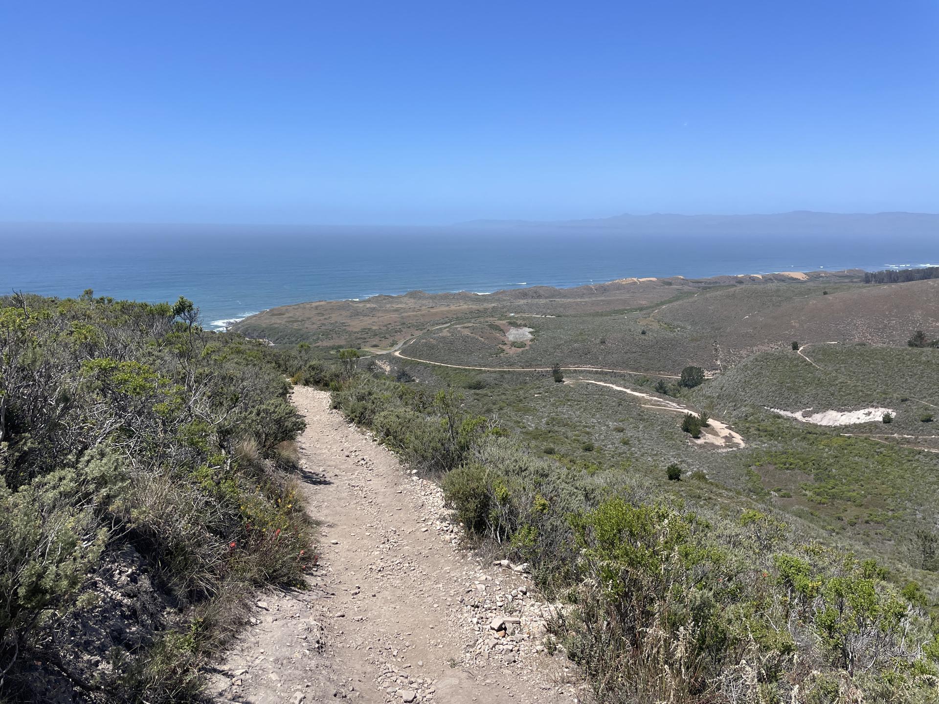 Dirt trail winding through sunny, brush-covered hills overlooking the ocean.