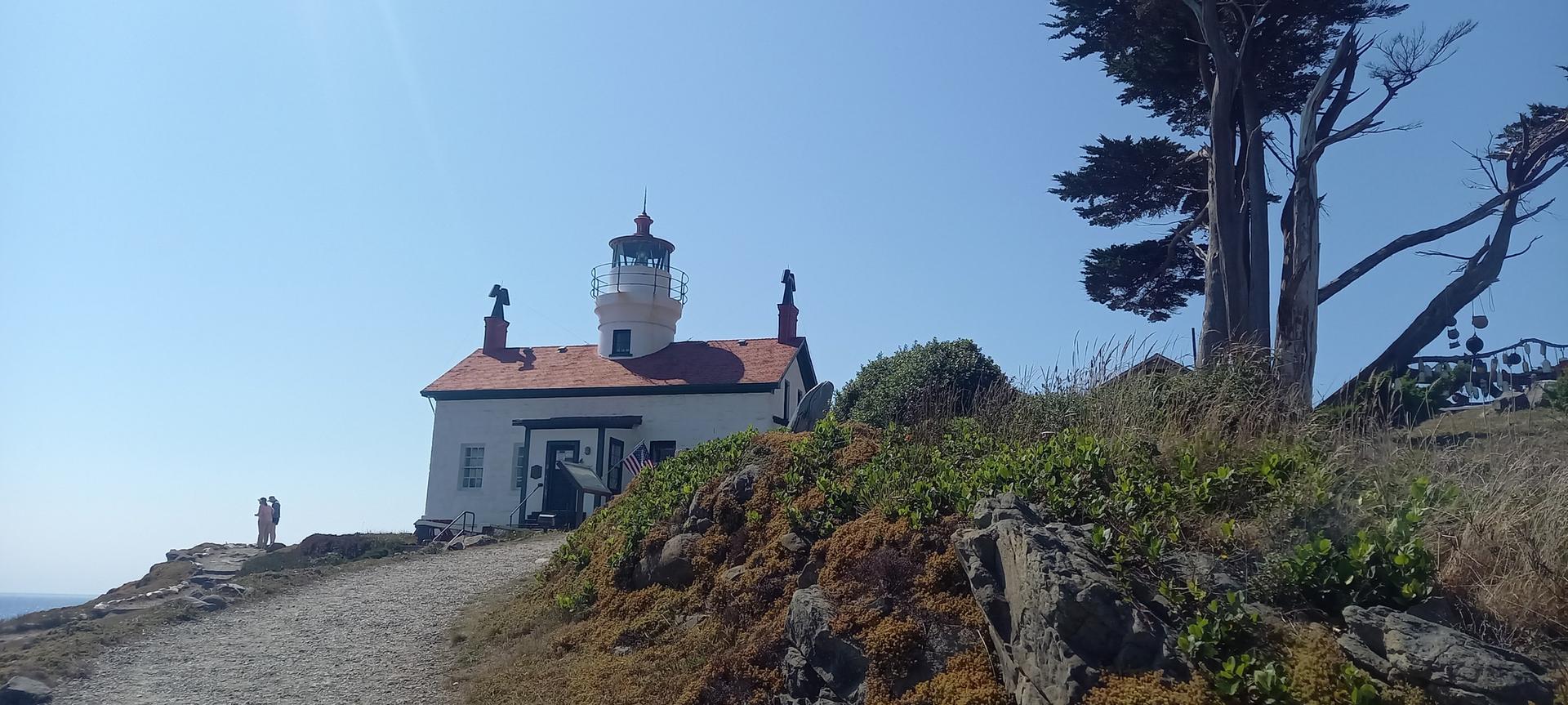 White lighthouse on a sunny hill with a large tree and distant ocean.