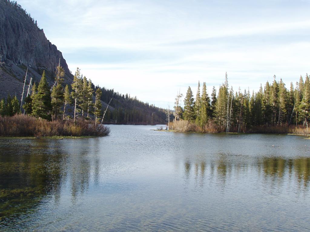 Calm lake surrounded by pine trees and a rocky mountain under bright sky.