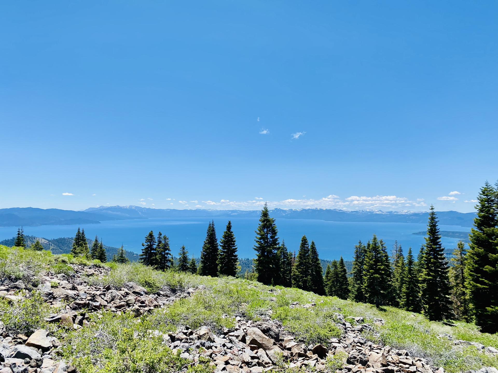 Rocky hillside with pine trees overlooking a vast blue lake and distant mountains.