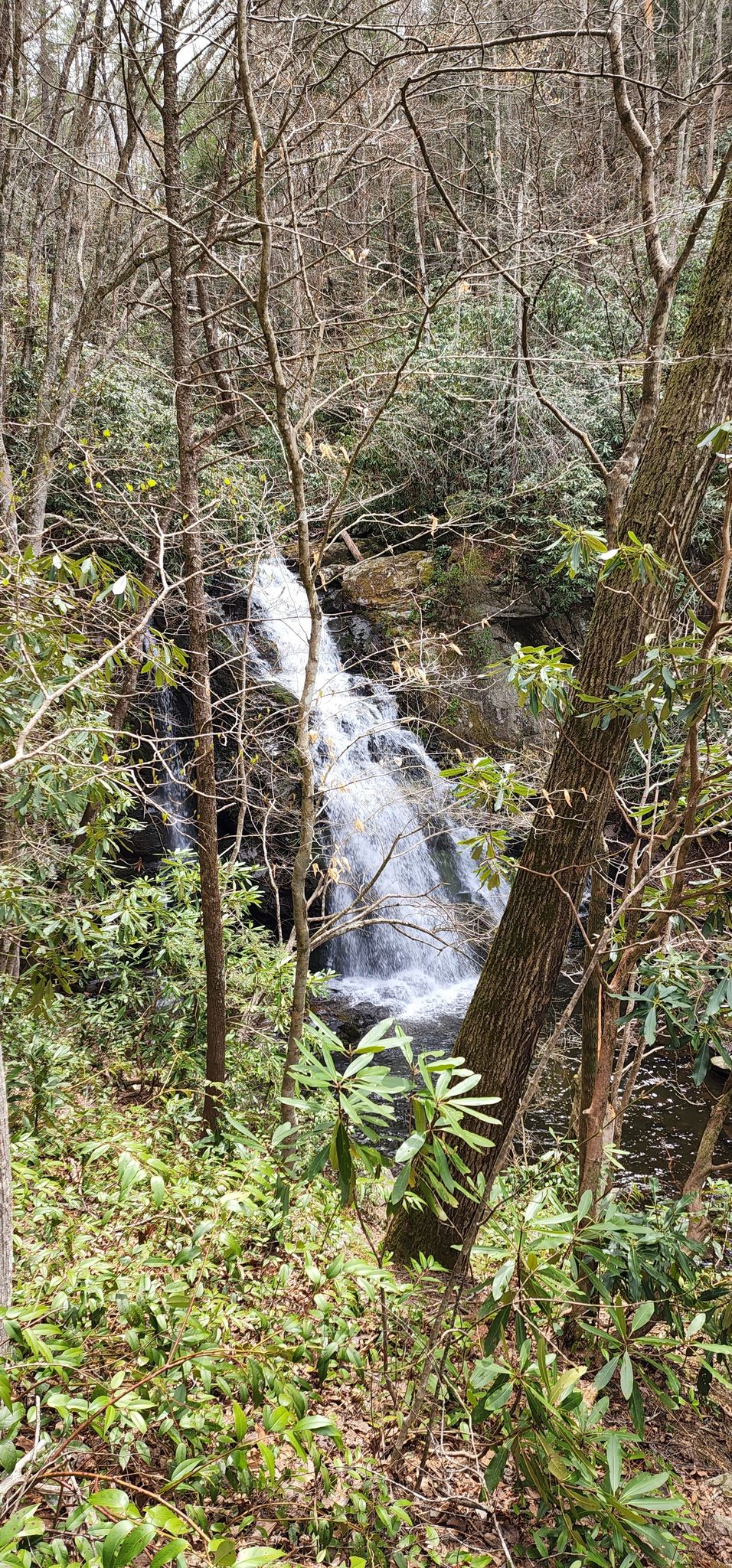 A waterfall flows through a dense forest with bare and green trees. - Buckeye Trail