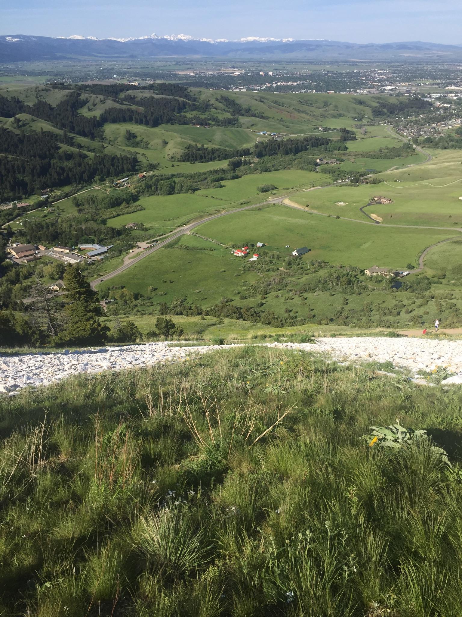 Overhead view of a lush green valley with scattered buildings under bright sun.