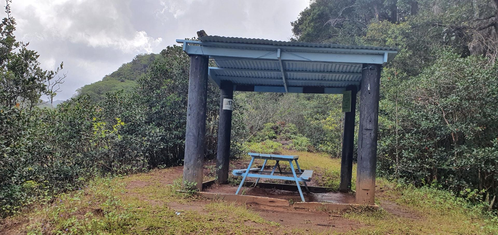 A small shelter with a blue picnic table in a grassy, wooded area.