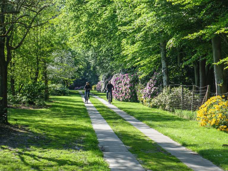 Rhododendron Park Gristede  Hiking & Cycling Routes | Komoot