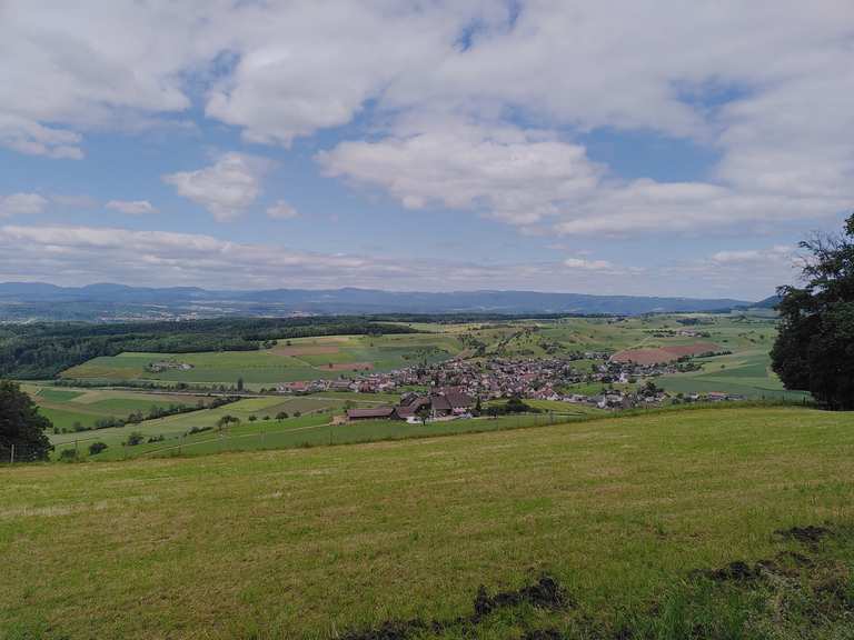 downhill mountain bike tracks