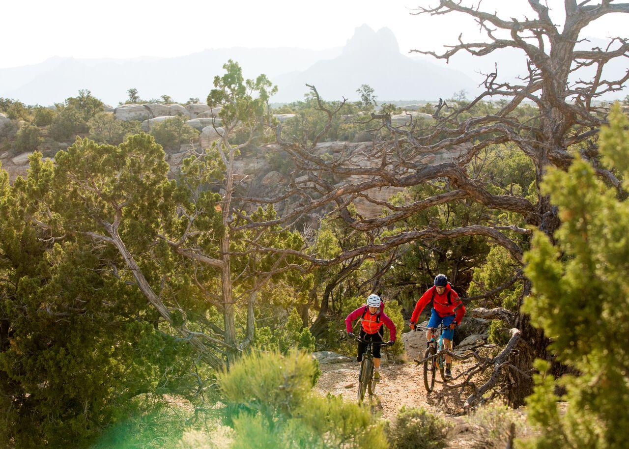 Two mountain bikers ride through a dense wooded trail with distant mountains.