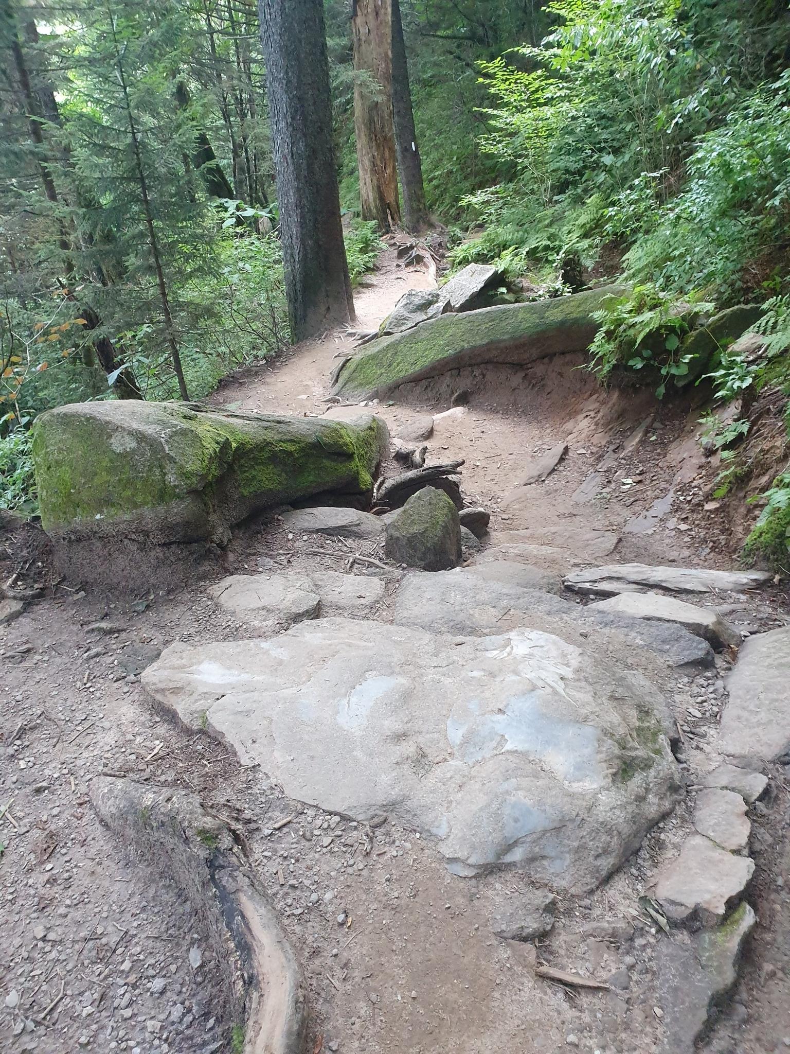 A rocky, dirt forest trail with large mossy boulders under dappled light.