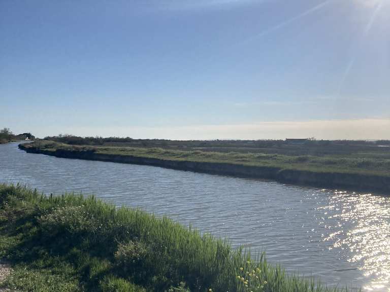 Lunel La grande Motte Cabanes de Lunel boucle au départ de Saint