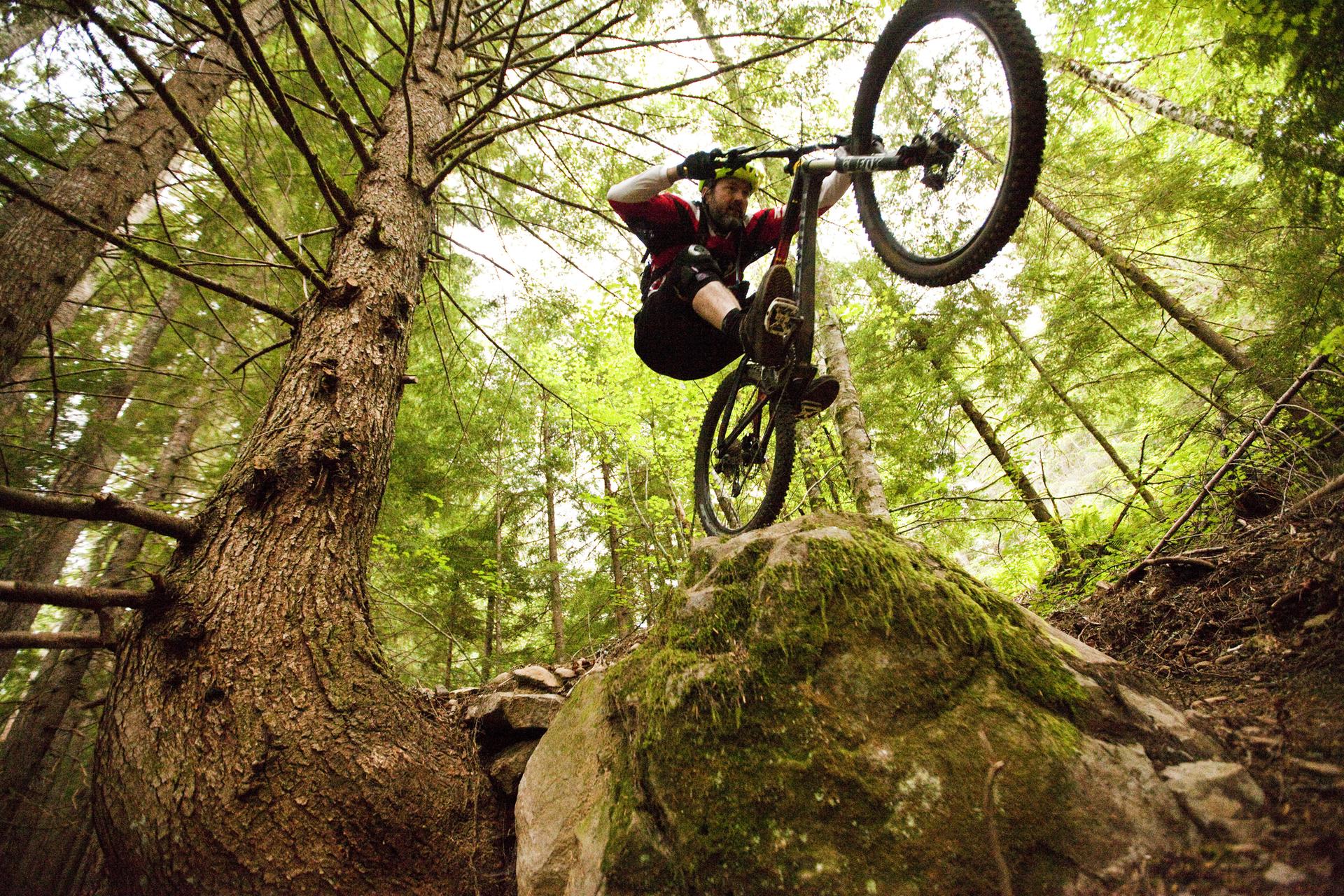 Mountain biker jumps off a mossy rock in a sunlit, dense forest.