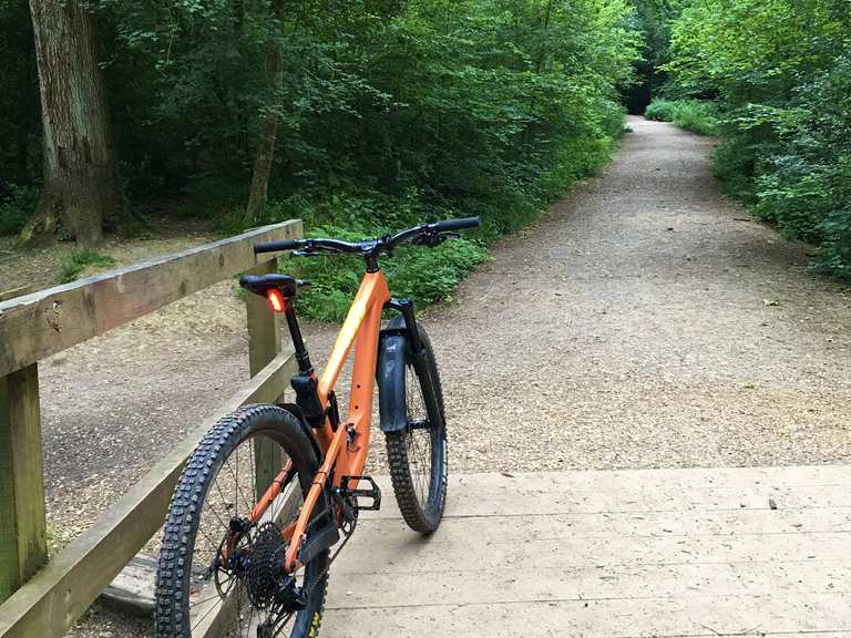 Old Winchester Hill & Forest of Bere loop from Wickham — South Downs